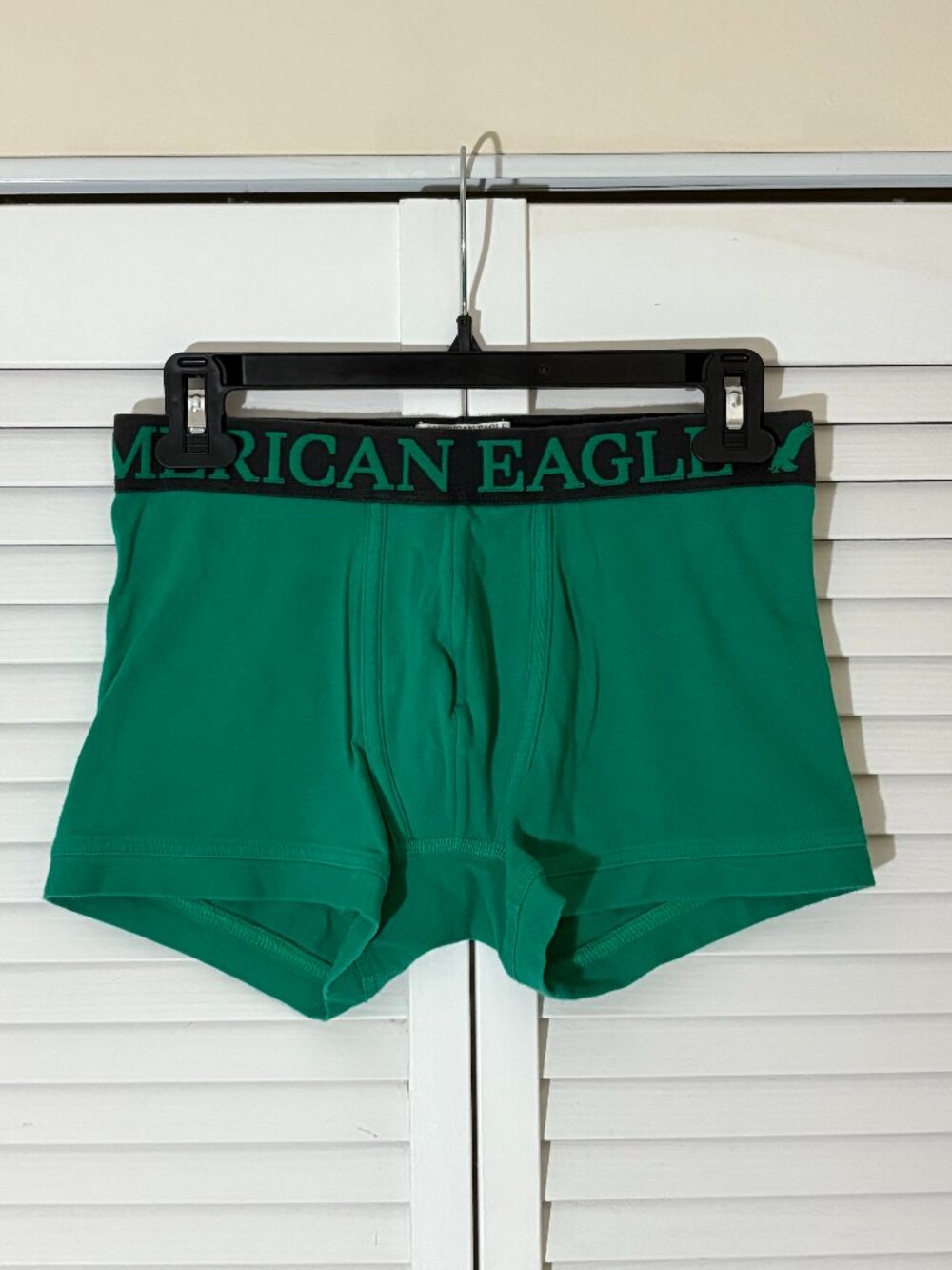 American Eagle Trunk--Green